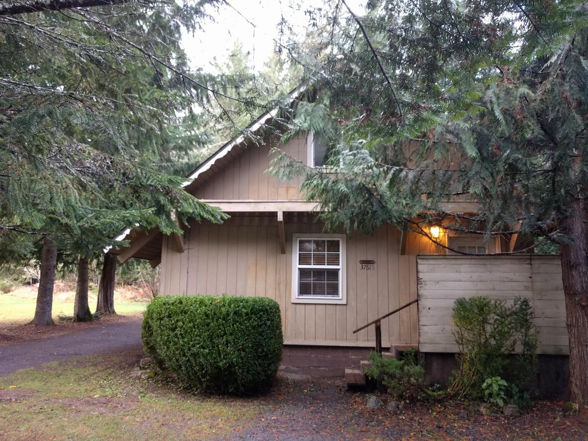 Chalet At Mt. Rainier Ashford Exterior photo